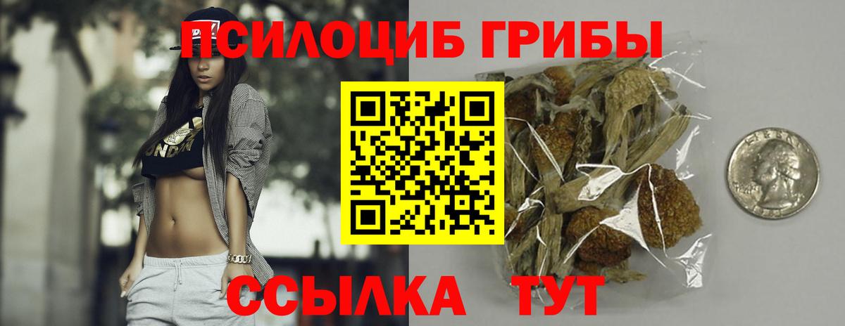 Псилоцибиновые грибы мицелий Одинцово